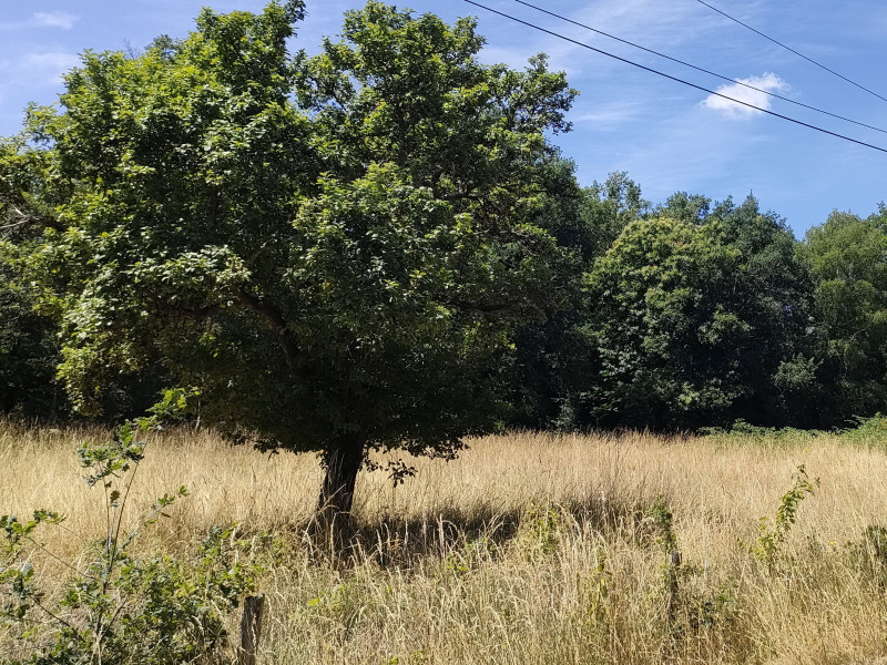 Terrain naturel photo 0